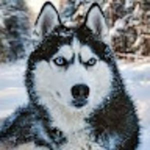 Meet your Posher, Eli